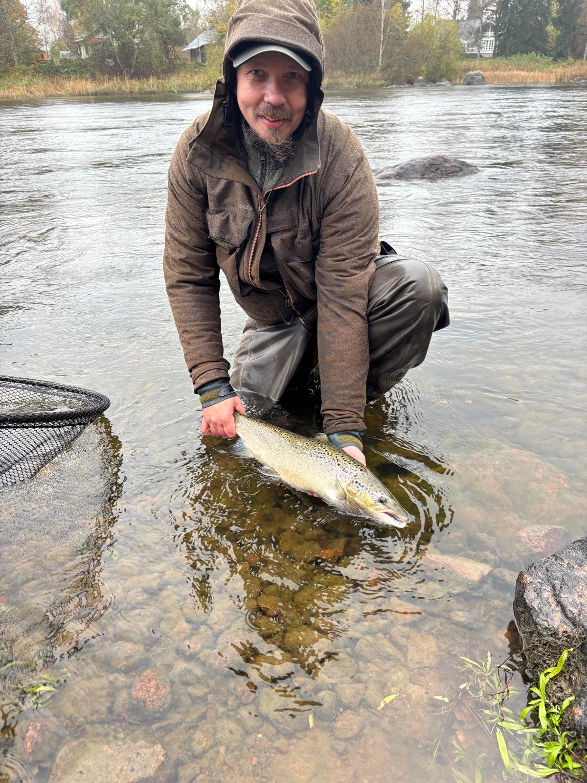Catch and release – lohi takaisin jokeen